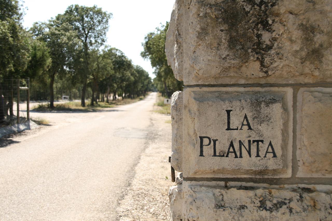 Hotel La Casita De La Planta Quintanilla de Onésimo Exteriér fotografie